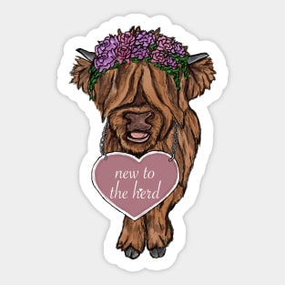 Highland Cow Sticker